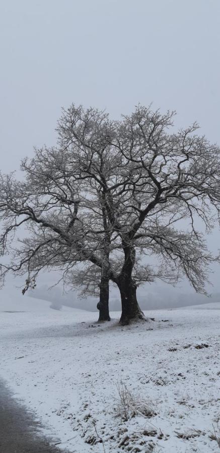Chata Gábor Banská Bystrica Esterno foto